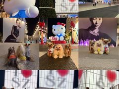 -深圳湾万象城(南山店)