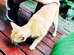 -迪瓦娜按摩和水疗中心