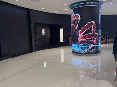 -雍容荟帝王蟹活龙虾展台自助(IFS黑金店)