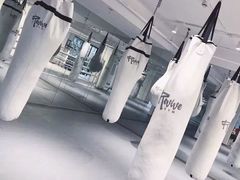 -EFL巴西柔术·综合格斗·泰拳·少儿体能训练(虹桥德必馆)