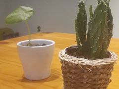 -轻净Clean&Pure(车公庙安徽大厦店)
