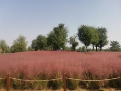 -汉长安城未央宫国家考古遗址公园