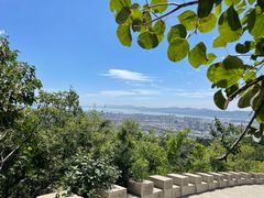 -府君山公园