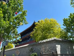 -曹州牡丹园