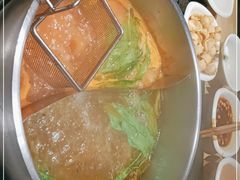 -蓉客成都火锅·招牌麻辣牛杂·特色香辣蹄花(凌水店)