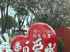 -野狸岛