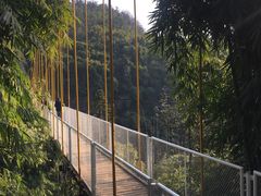 -川西竹海景区