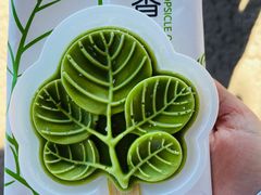 -香山公园