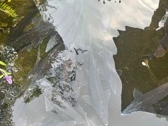 -源泉冷水鱼庄(小鱼洞店)