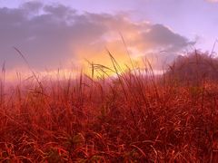 -东白山