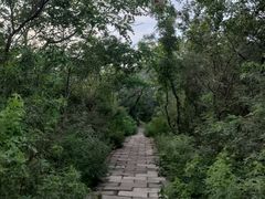 -元大都城垣遗址公园