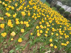 -无锡梅园公园