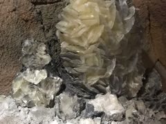 -游龙石文化科普馆