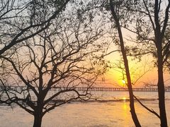 -宝安西湾红树林湿地公园