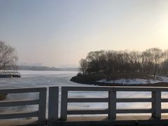 -大兴滨河森林公园