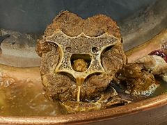 -御味老北京羊蝎子火锅&特色龙虾(菜场路店)