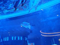 -上和臻品中国菜(花园街店)