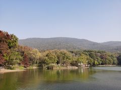 -紫霞湖公园