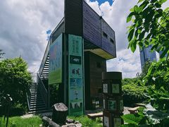 -华侨城湿地公园