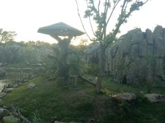-上海野生动物园老虎餐厅