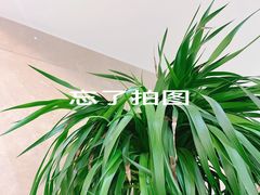 -正宗忘不了老鹅(梅岭店)