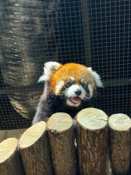 -Zoolung Zoolung动物主题公园(海信广场店)