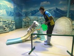 -华夏文旅海洋公园