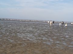 -启东黄金海滩景区