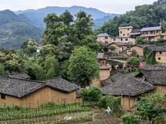 -杨家堂村