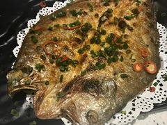 -九府羊·鲜羊火锅·烤串(新华路店)