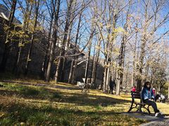 -阳台山自然风景区