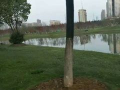 -艾溪湖湿地公园