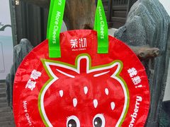 -茉沏(山塘街店)