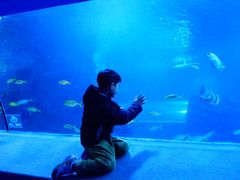 -太平洋海底世界