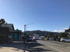 -Dooley's Premium Ice Cream