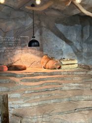 -Zoolung Zoolung动物主题公园(海信广场店)