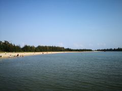 -东郊椰林