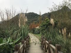 -贵阳市花溪国家城市湿地公园