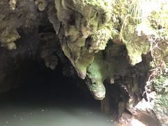 -怀托摩萤火虫洞