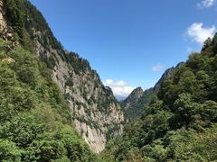 -青峰峡国家森林公园