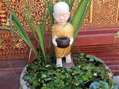 -西双版纳傣族园-曼春满佛寺