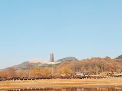 -牛首山文化旅游区