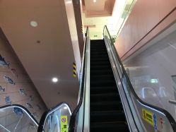 门急诊-四川大学华西第二医院(锦江院区)