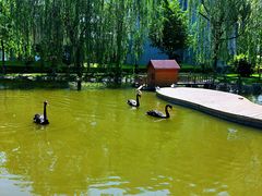 -瑞博尔花园酒店(太周创新产业园店)