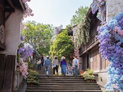 -天目湖山水园