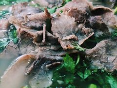 牛肉拉面-河南拉面(肇周路店)