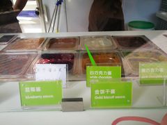 -Salud撒露欧洲冻酸奶(蓝色港湾店)