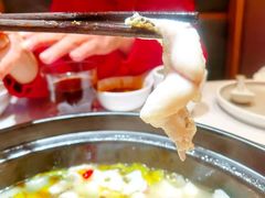 中辣酸菜鱼-周渝食惦酸菜鱼(青浦店)