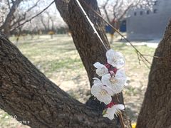 -元大都城垣遗址公园