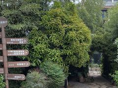 -天怡·鱼工厂(临江店)